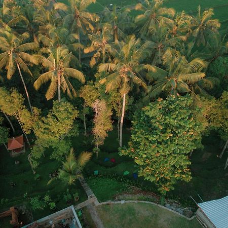 Bali Made Escape Hotel Payangan Exterior foto