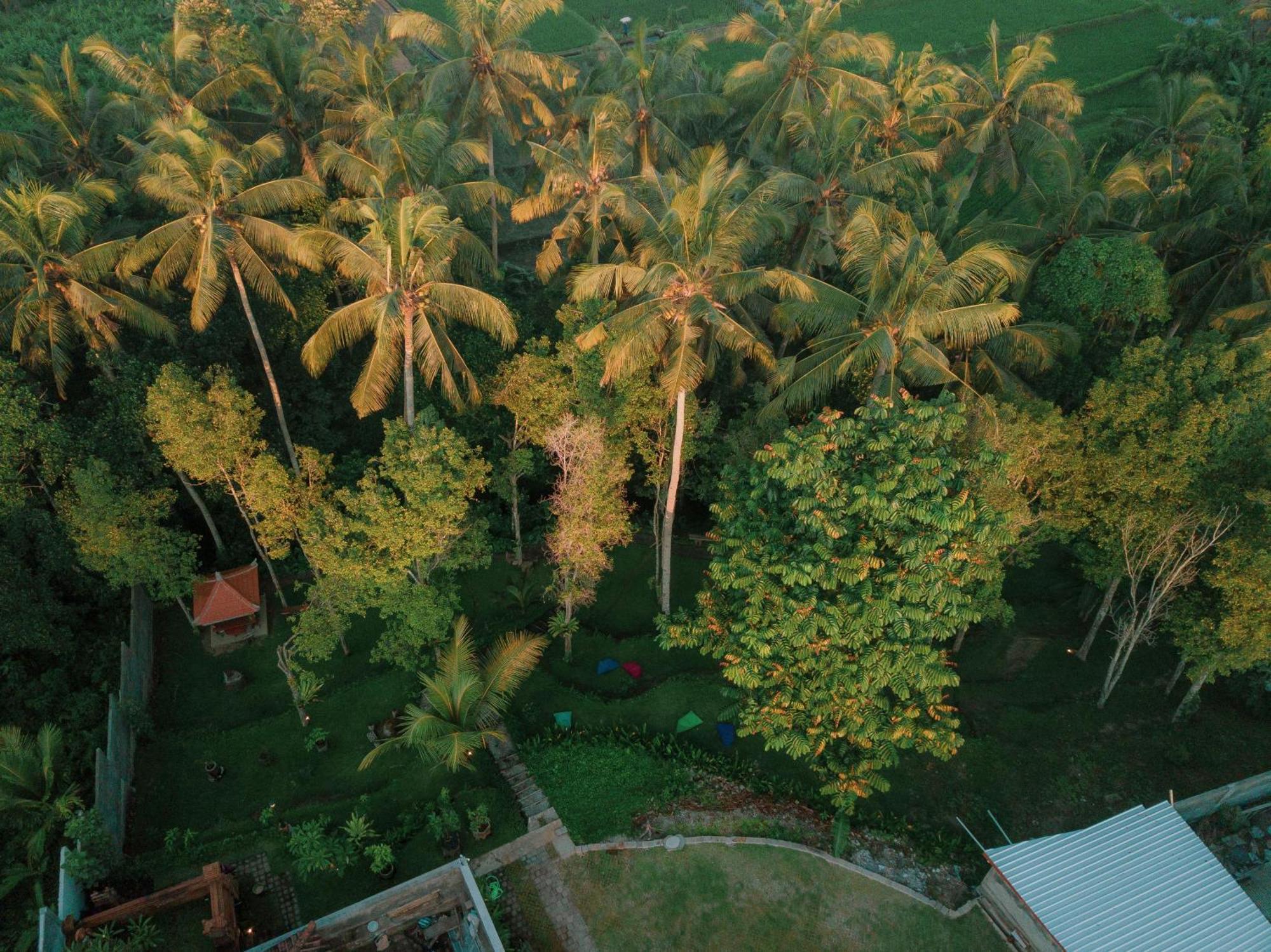 Bali Made Escape Hotel Payangan Exterior foto